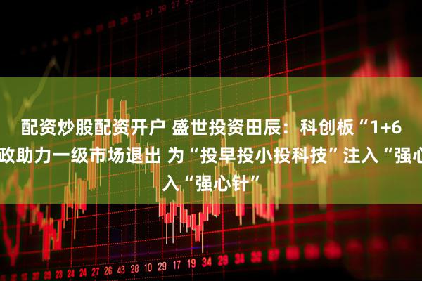 配资炒股配资开户 盛世投资田辰：科创板“1+6”新政助力一级市场退出 为“投早投小投科技”注入“强心针”